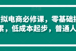 淘系虚拟电商必修课，零基础搞定原始积累，低成本起步，普通人可干