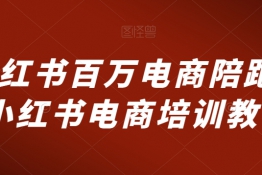 小红书百万电商陪跑，小红书电商培训教程，爆单店铺