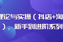 电商理论与实操（抖店+淘系+拼多多），新手到进阶系列课程