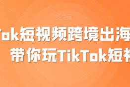 TikTok短视频跨境出海撸美金，带你玩TikTok短视频