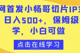 小杨哥切片IP3.0，日入500+，保姆级教学，小白可做【揭秘】