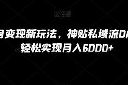 B站项目变现新玩法，神贴私域流0成本，可轻松实现月入6000+【揭秘】