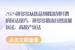 2024拼多多从选品到截流到付费的玩法技巧，拼多多截流自然流量玩法，高投产玩法