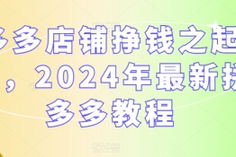 多多店铺挣钱之起店，2024年最新拼多多教程