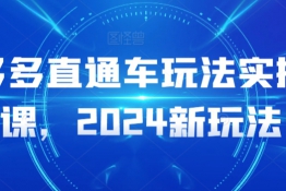 多多直通车玩法实操课，2024新玩法，让你的直通车扭亏为盈